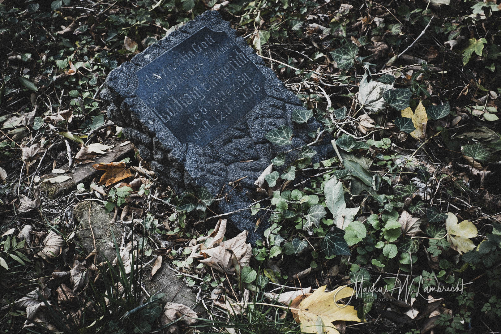 Steinheim (Westfalen), Jüdischer Friedhof